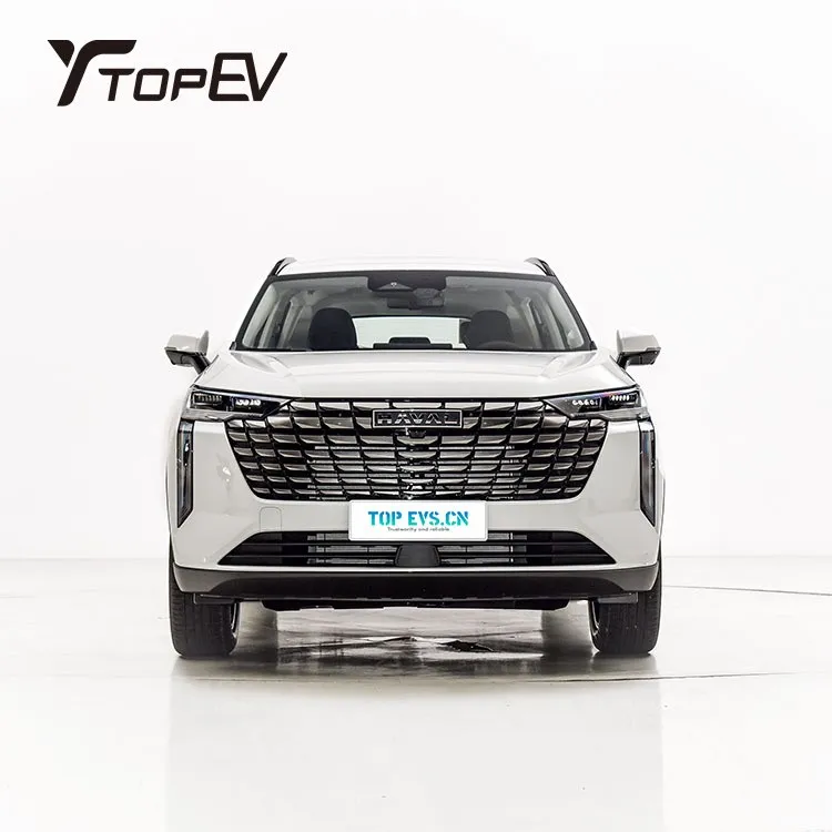 Китайский поставщик автомобилей на бензине